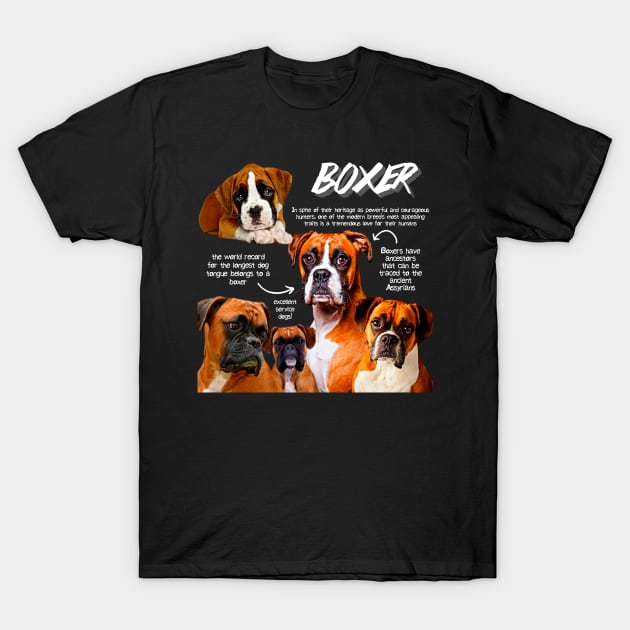 Boxer Dog Fun Facts T-Shirt by Animal Facts and Trivias